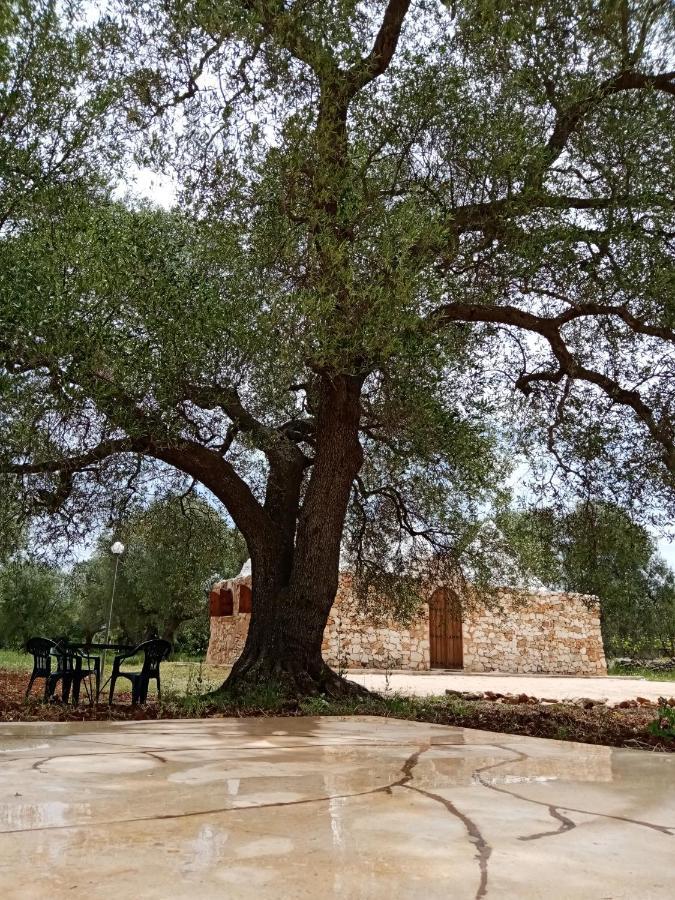 Trulli Monte Madre Villa San Vito dei Normanni Eksteriør bilde