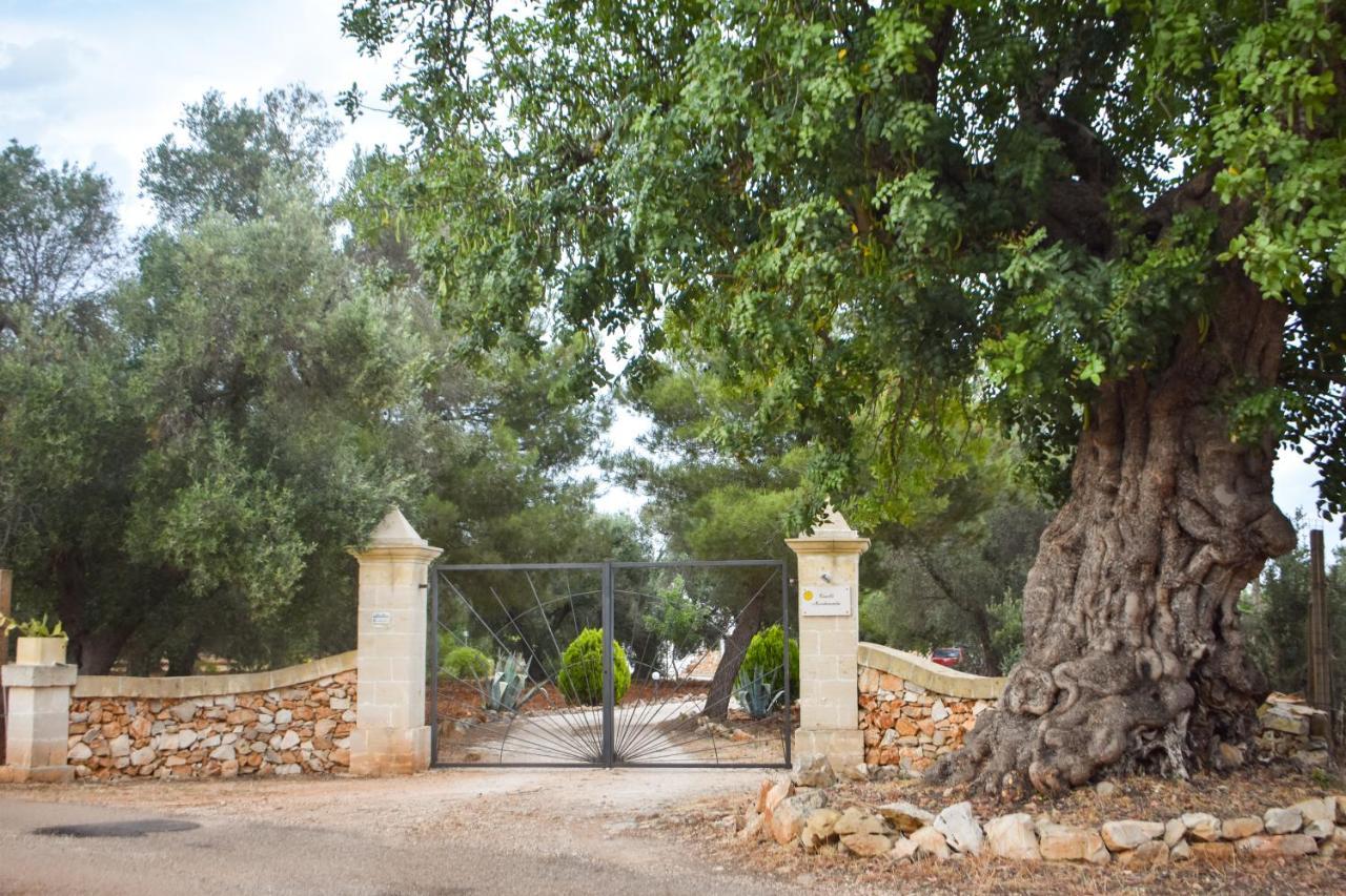Trulli Monte Madre Villa San Vito dei Normanni Eksteriør bilde